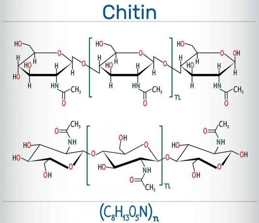 Sto Je Chitin Definicija I Upotrebe