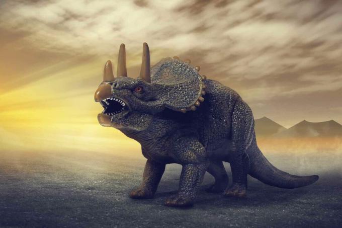 Triceratopski dinosaur.