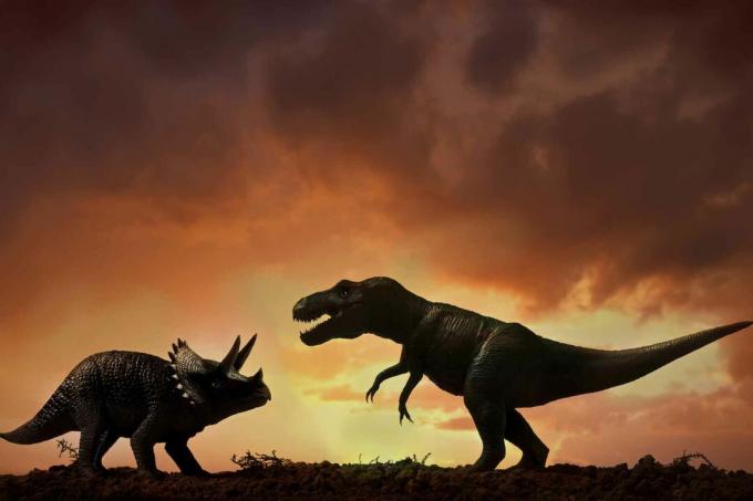 Triceratops i tirannosaur Rex.