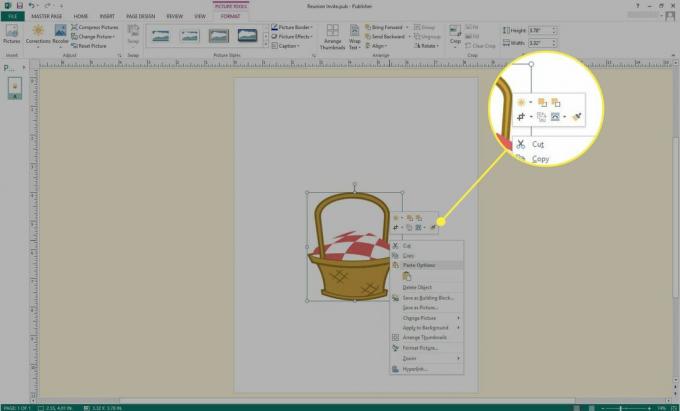 Snimak zaslona programa Microsoft Publisher s istaknutim opcijama slike