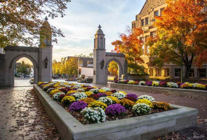 Volite moju školu, osobito u jesen - Sveučilište Indiana u Bloomingtonu