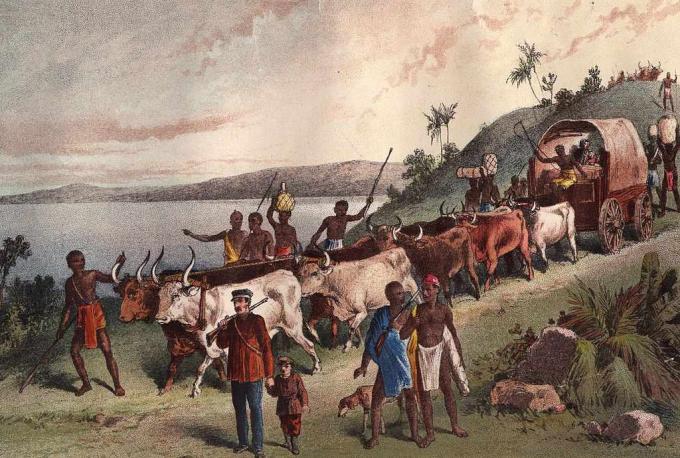 oko 1855.: Dolazak britanskog istraživača, Davida Livingstonea i zabava na jezero Ngami.