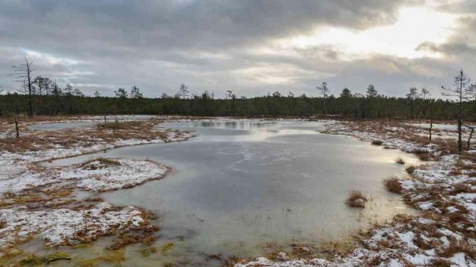 Estonsko jezero Peat Bog zimi