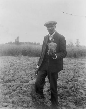 George Washington Carver, portret u cijeloj dužini, stoji u polju, vjerojatno kod Tuskegeeja, držeći komad zemlje, 1906.