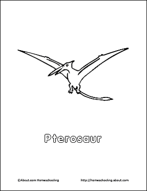 Pterosauri: Leteći gmazovi