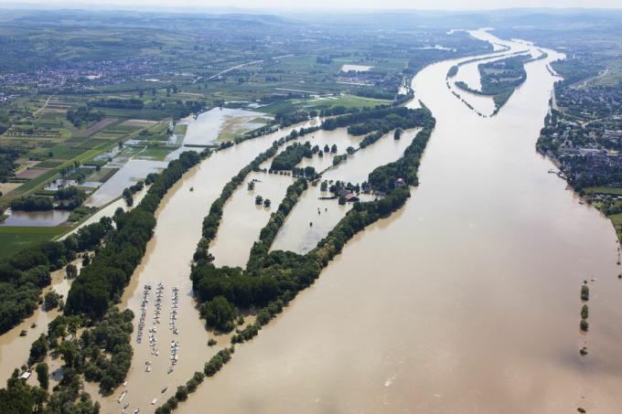 Njemačka, Hesse, Eltville, poplava rijeke Rajne na otoku Koenigskling Aue, zračna fotografija